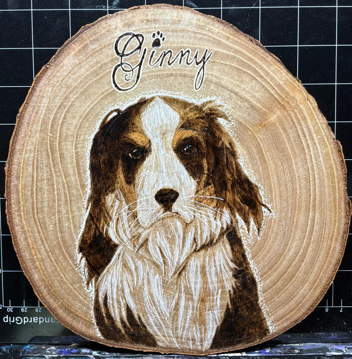 Dog Dog
