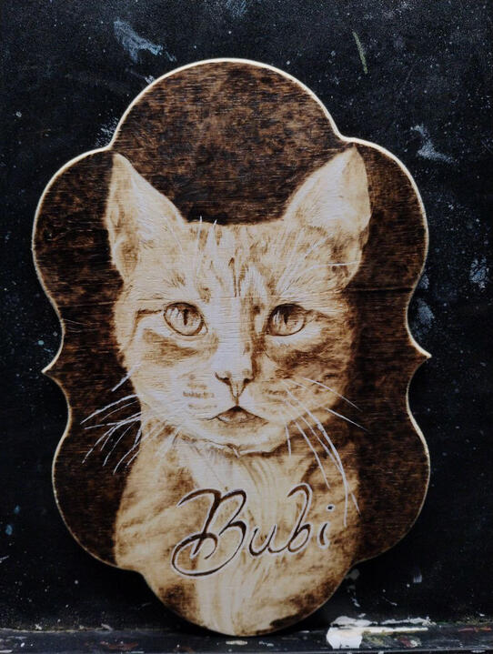Cat Memorial Photo (RIP Mr. Bubbles) Cat Memorial Photo (RIP Mr. Bubbles)