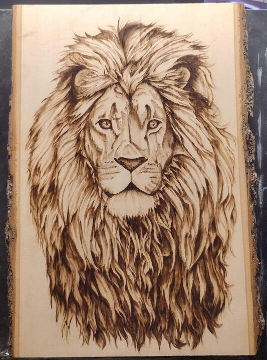 Lion Lion